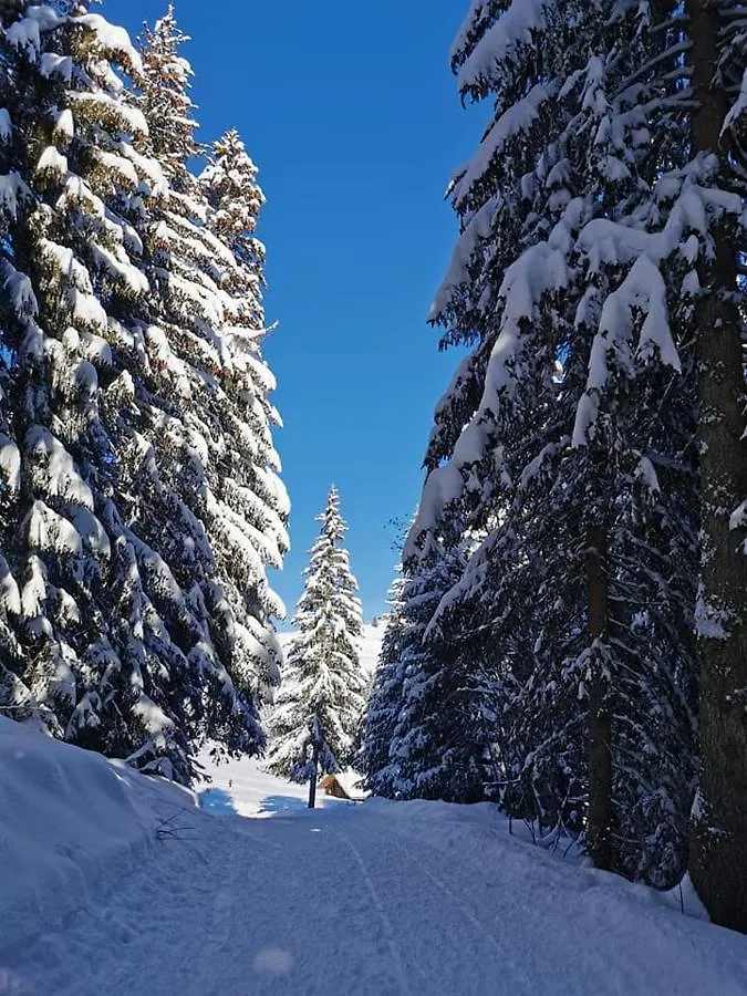 Auberge Du Fraizier Thones